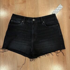 Urban Outfitters BDG Highwaist Distressed Jean girlfriend Shorts NWT 29
